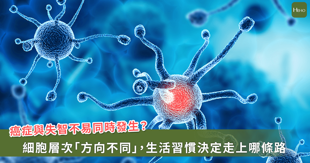 得癌症就不會失智？張家銘醫師：兩種細...