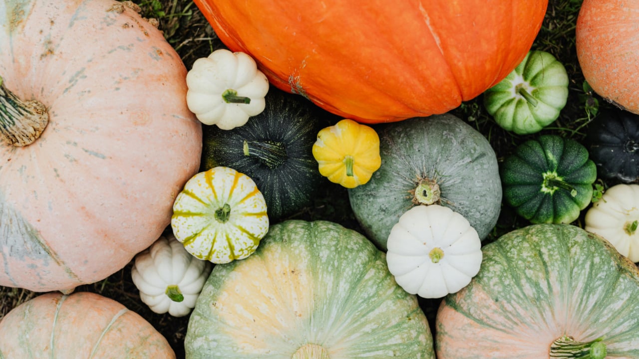 秋冬減重別怕吃！營養師分享4種「地雷碳水」聰明替換法